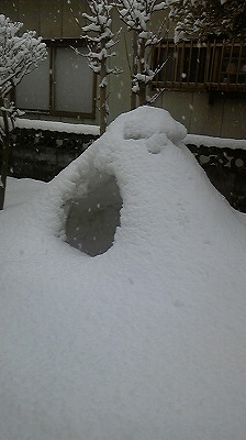 110119_074845