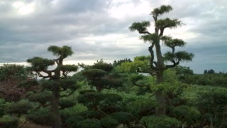 20110714172753