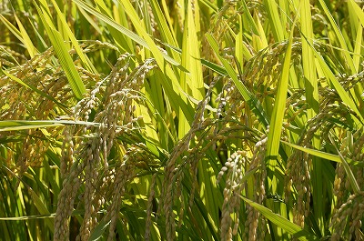 s-DSC00402