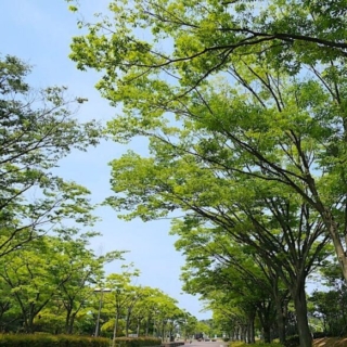 GWのお休みにつきまして