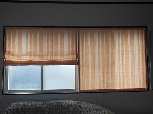 DSCN0234