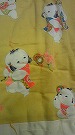 DVC00029