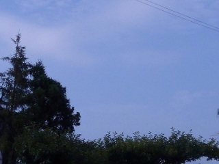P1010876
