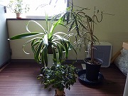 P1020139