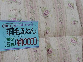 P1020203