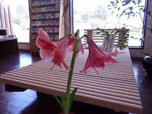 P1030402