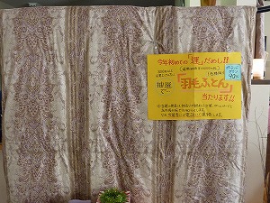 P1040038