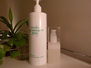 P1040248