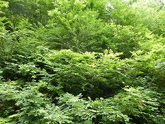 P1050107