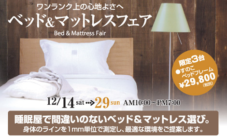 bedmatless2013
